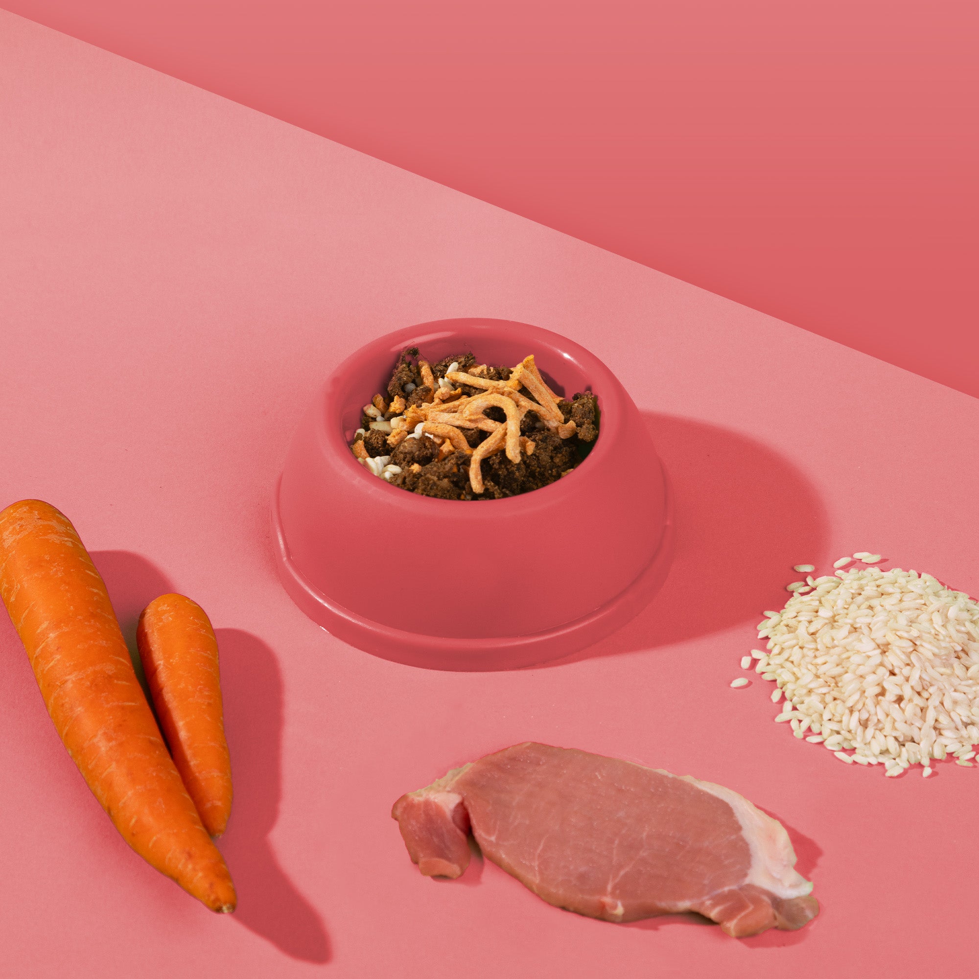 Dr. Woof - Maiale e Riso