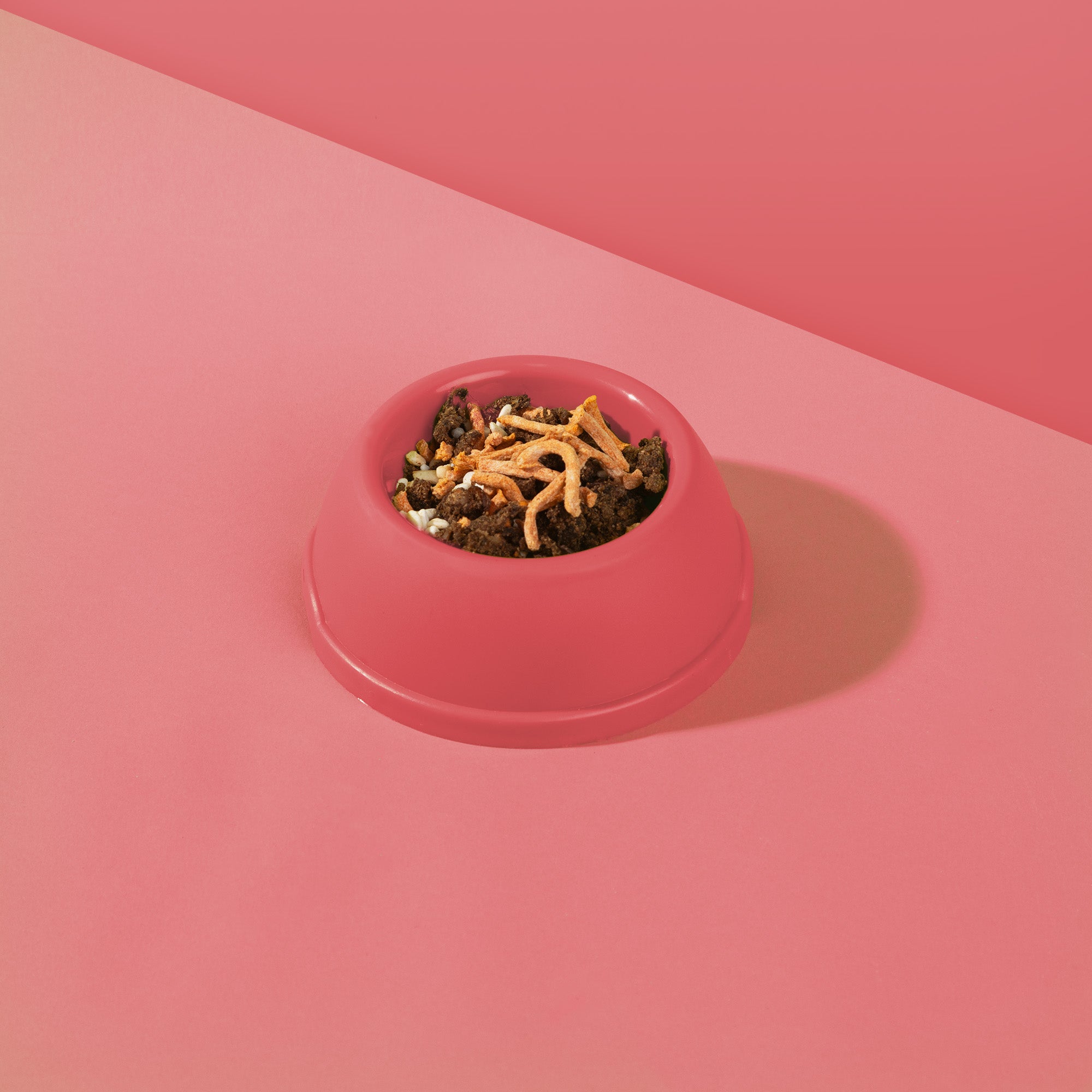 Dr. Woof - Maiale e Riso