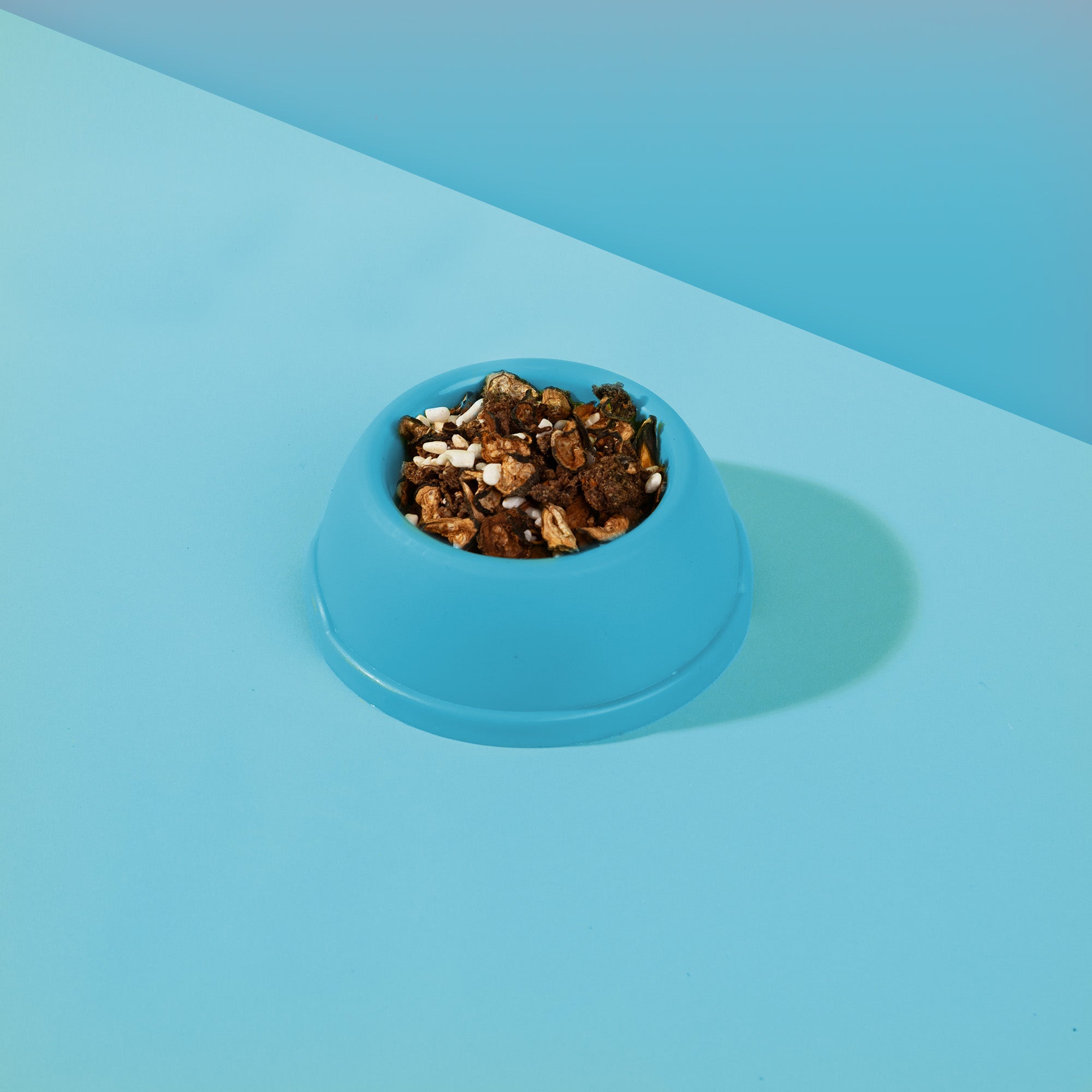 Dr. Woof - Manzo e Riso