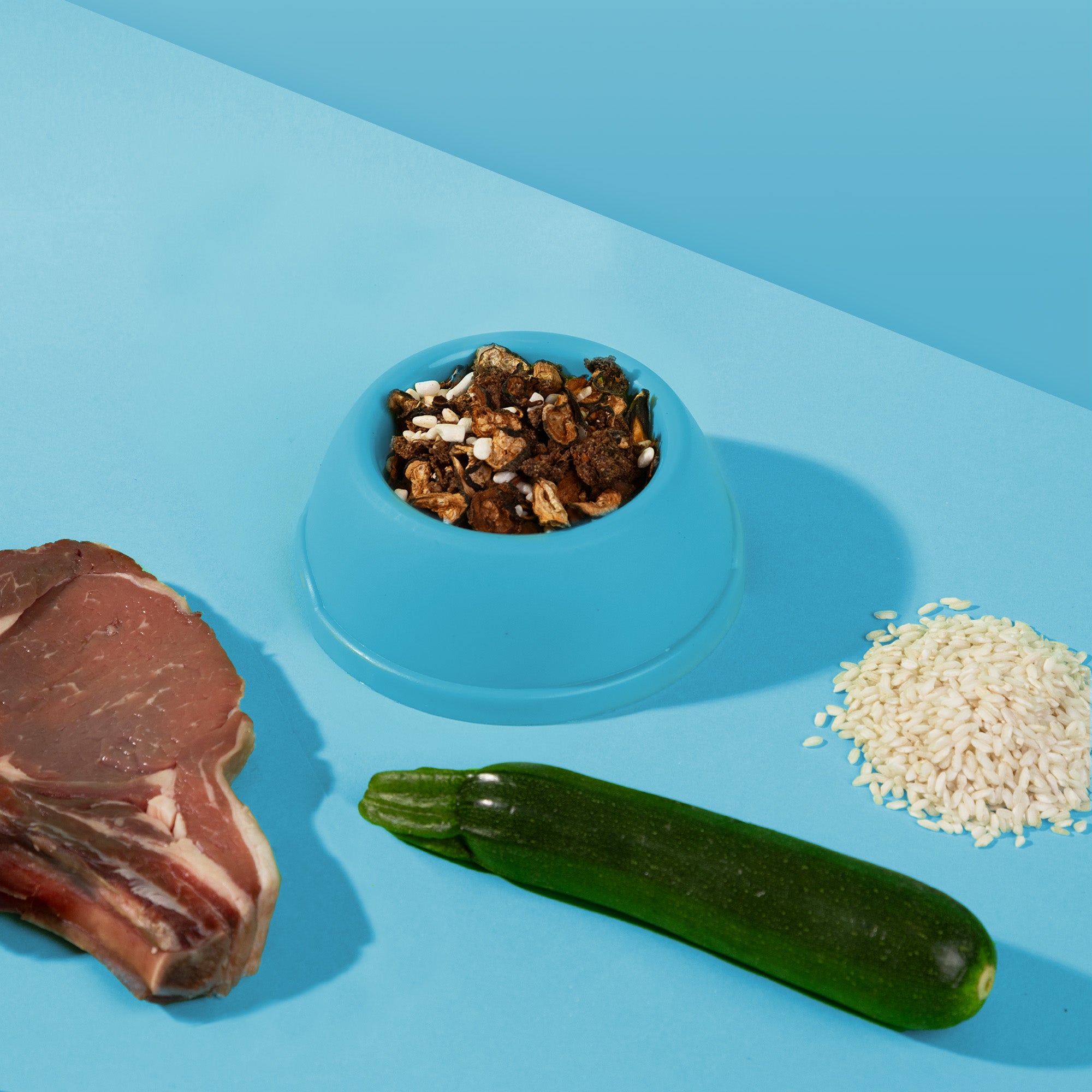 Dr. Woof - Manzo e Riso