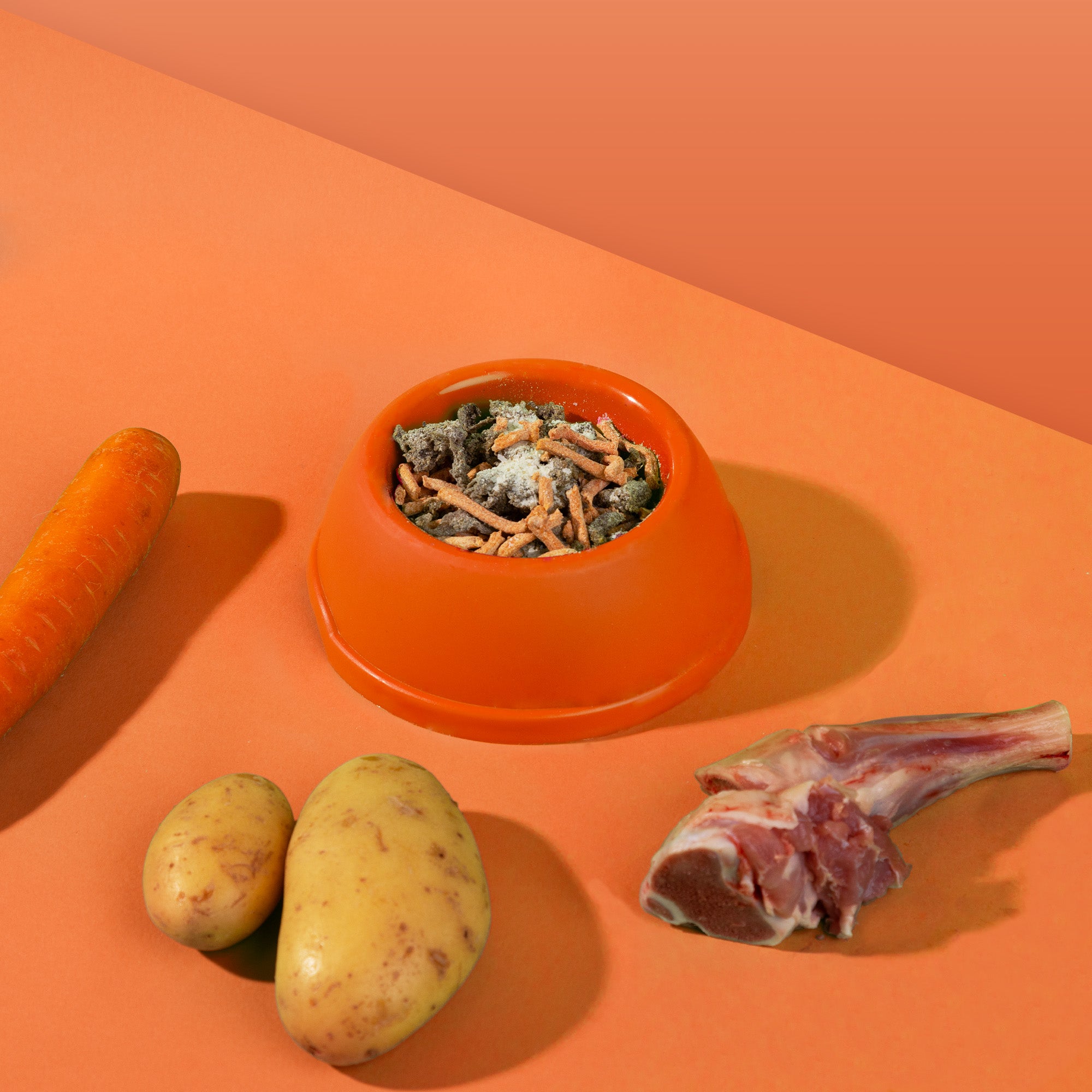 Dr. Woof - Agnello e Patate